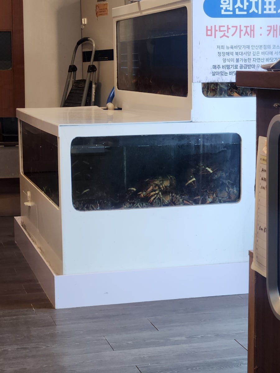 뉴욕바닷가재 안산본점 사진 1