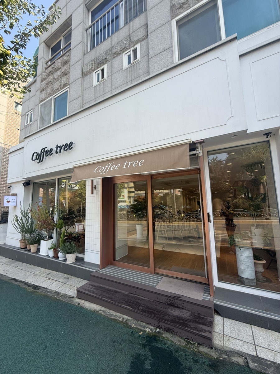 커피트리 사진 1