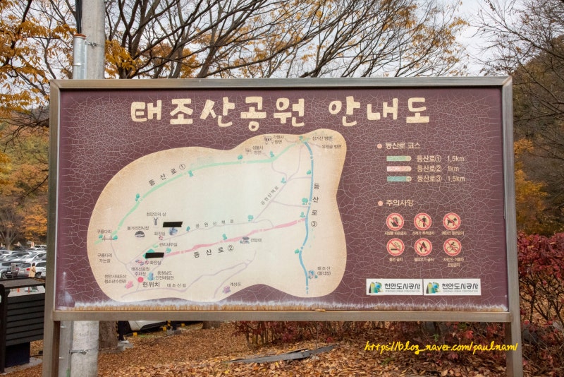 사진 3