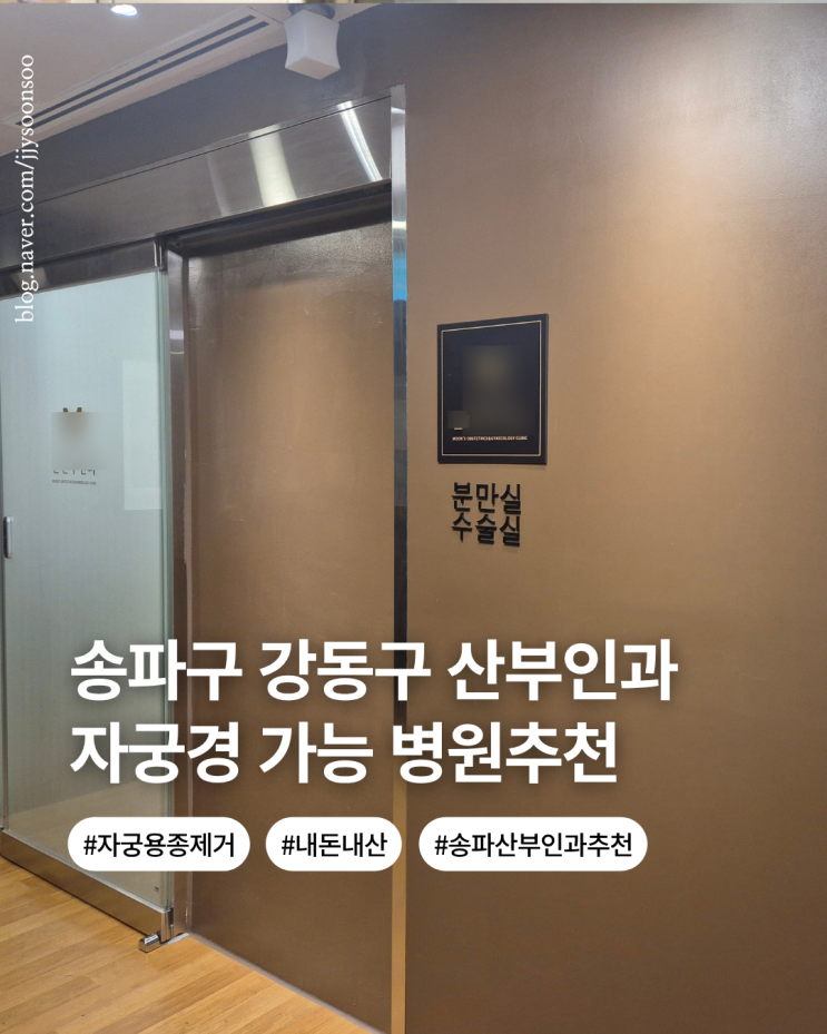  송파구 산부인과 자궁 용종 제거 수술 종류 자궁경 후기 현재 상황