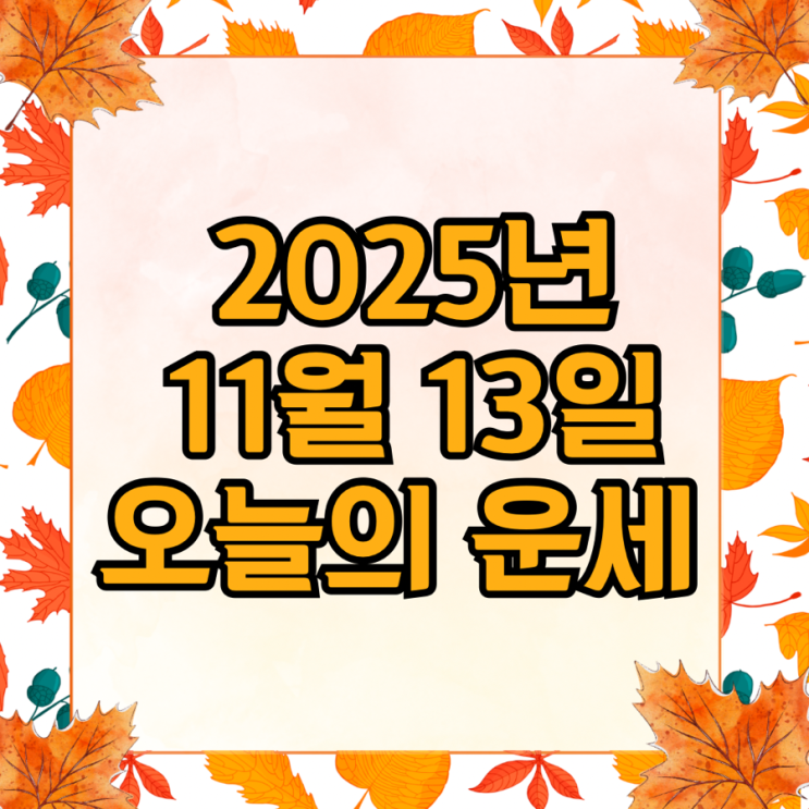 2025년 11월 13일 운세 오늘의운세 띠별운세