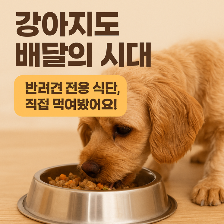  ️ 반려견 전용 음식 배달 서비스 체험기 “우리 집 강아지, 사료 대신 주문해봤어요!”