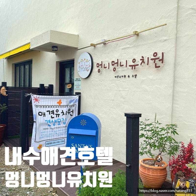 사진 2