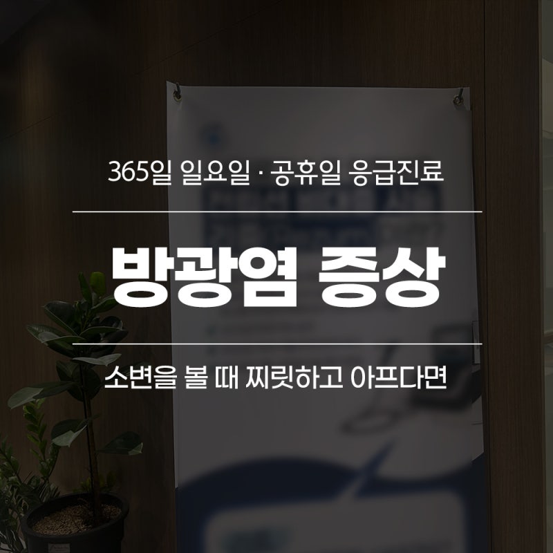 대구여자비뇨기과 소변 볼 때 찌릿하게 아픈 방광염