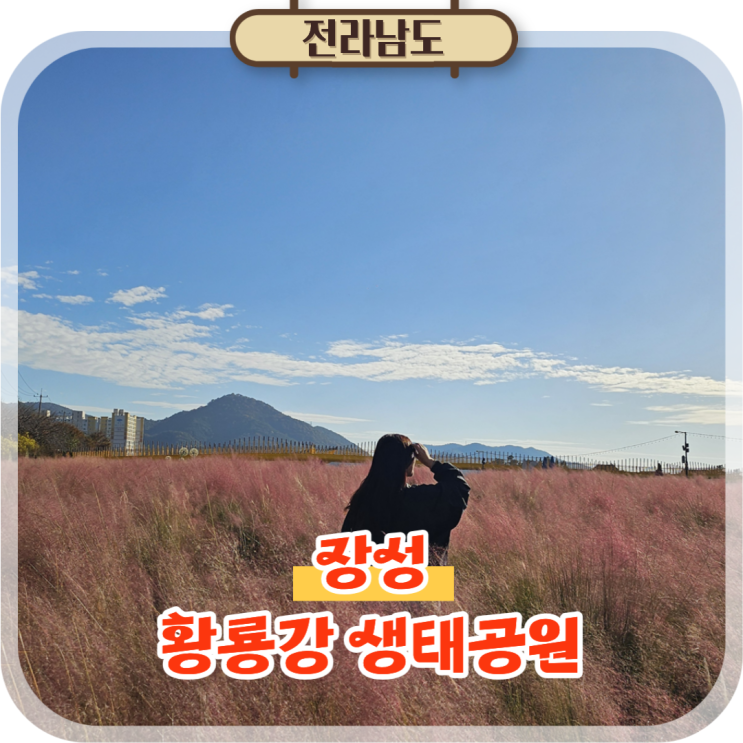  광주근교 드라이브 장성 황룡강 생태공원, 핑크뮬리와 갈대