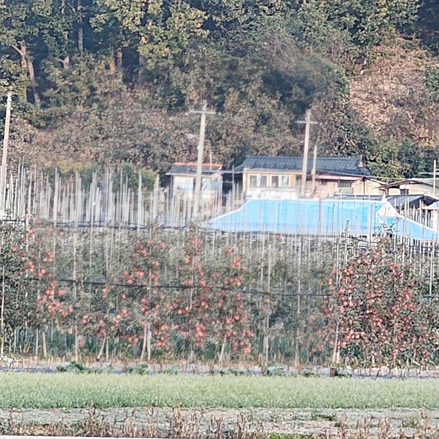 서울식당 사진 5