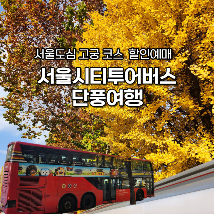  타이거버스 단풍 고궁 코스 예약 방법 서울 시티투어 2층 버스