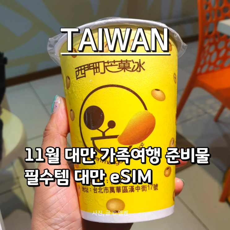  11월 대만 가족여행 준비물 리스트｜대만이심(eSIM)으로 데이터 완벽 해결!