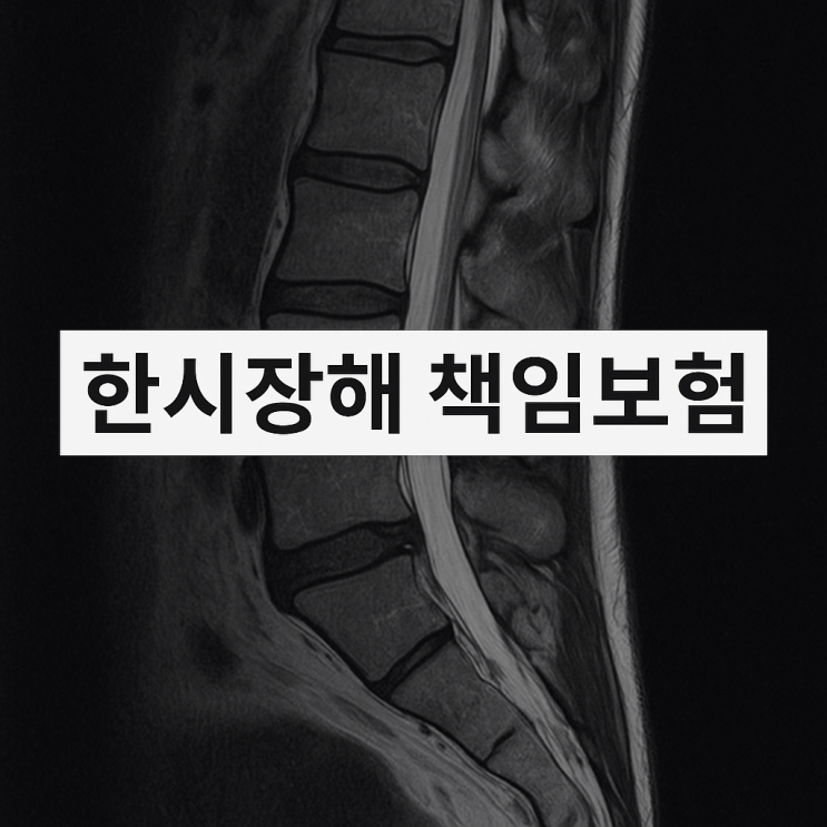  교통사고 한시장해와 영구장해를 책임보험에 적용하면?