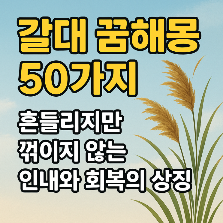  갈대 꿈해몽