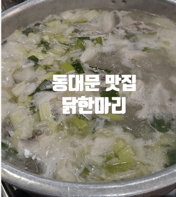  | 동대문 | 뜨끈한 국물 어때? 진옥화할매원조 닭한마리 식객 맛집