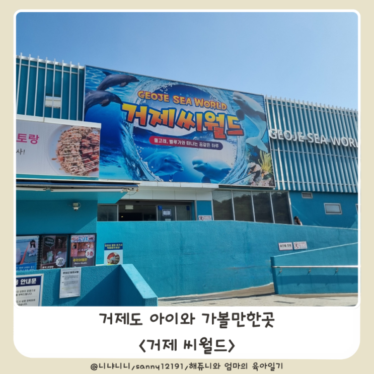  거제 씨월드 아이와 가볼만한곳 돌고래 벨루가 수족관 파충류
