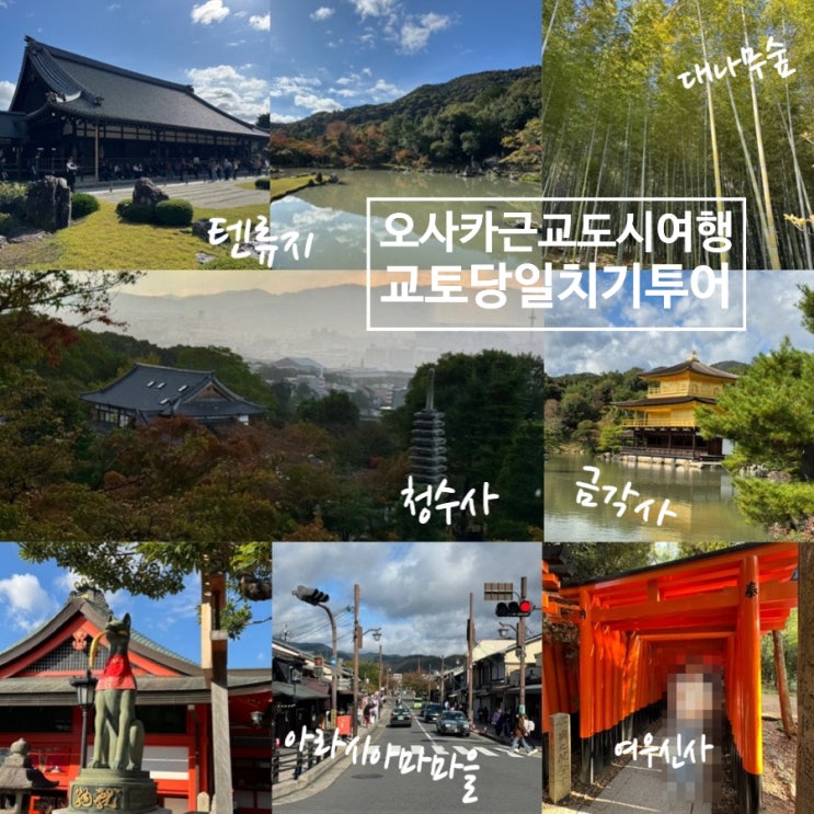 오사카 3박4일 여행코스추천! 교토 일일 버스투어 아라시아마/킨카쿠지(금각사)/기요미스데라(청수사)/ 후시미이나리신사(여우신사) 당일치기 투어