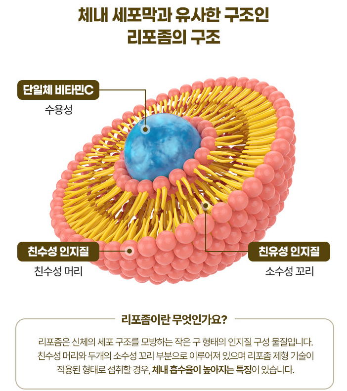 [종근당 비타듀오 리포좀 비타민C] 흡수율 높은 리포좀 비타민 내돈내산 후기