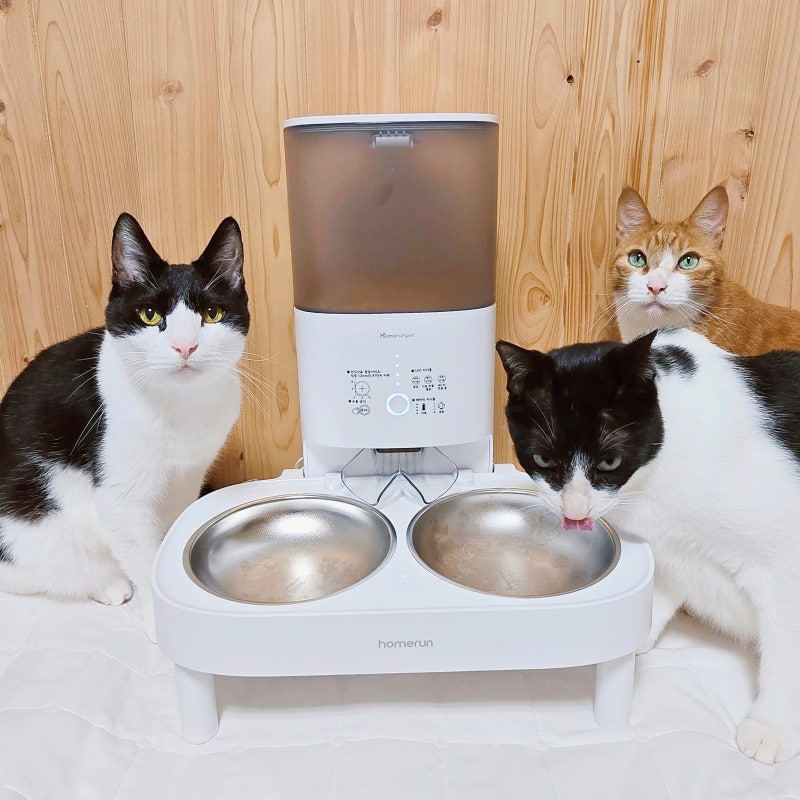 고양이 강아지 자동급식기 높이 조절 2구 받침대 홈런펫