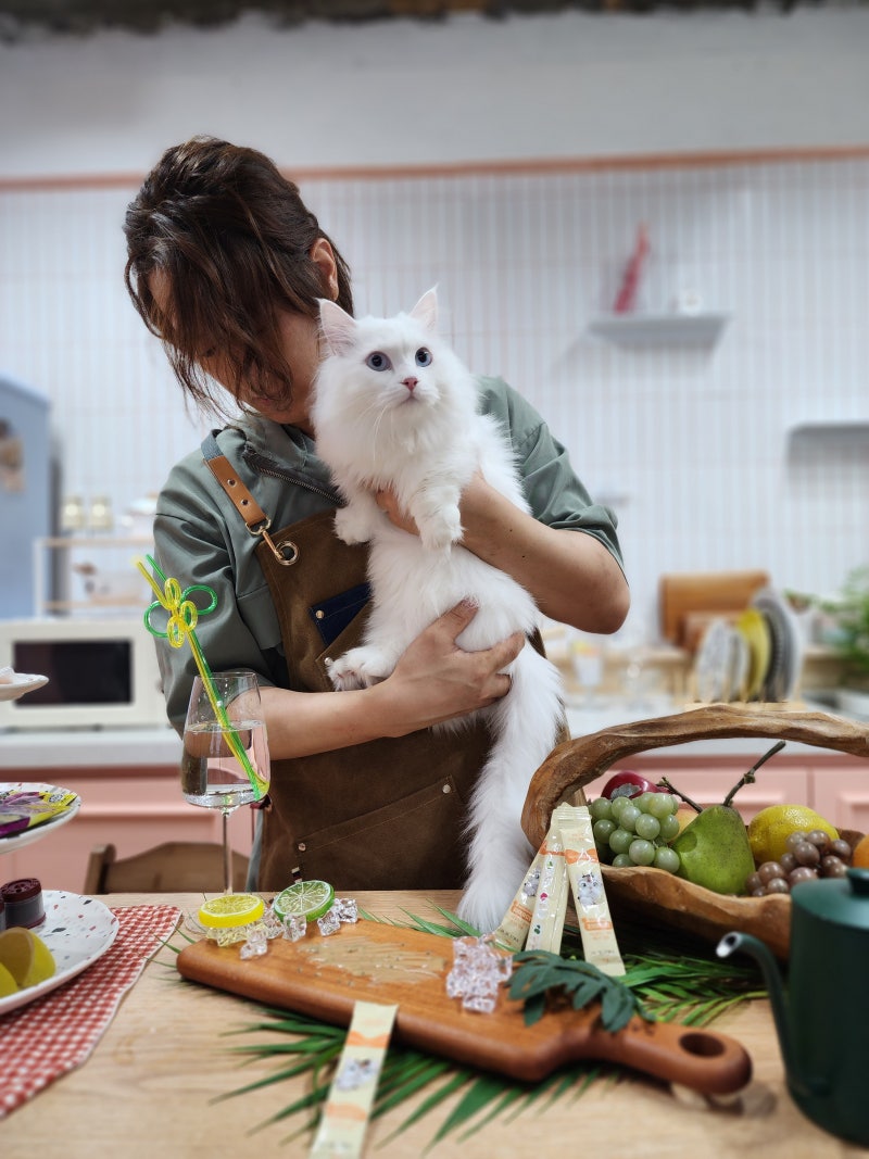 이거 하나로 고양이 집사 레벨업!초간단 수제 간식 DIY 레시피