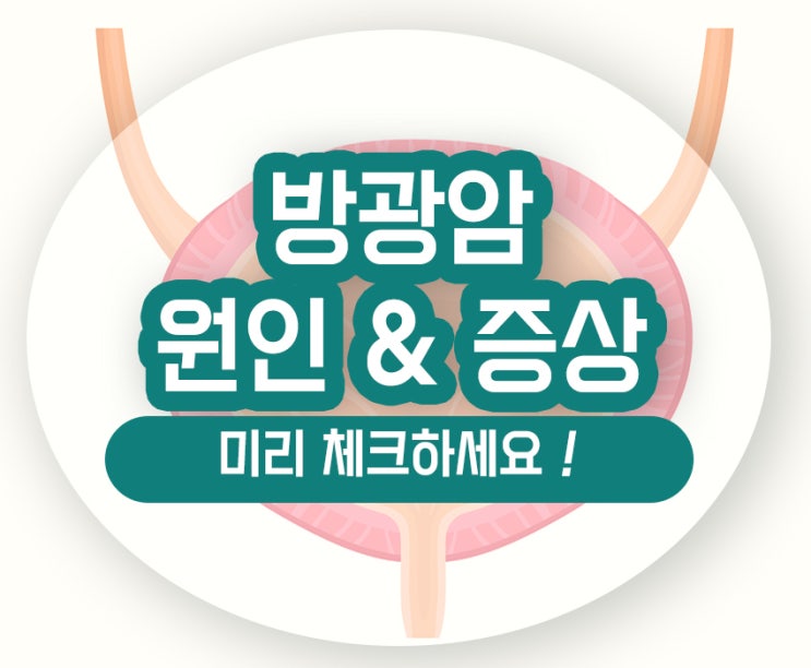  방광암 초기증상 원인 빈뇨 혈뇨 골반통증 예후 식단 알아보기