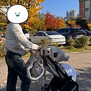 [내돈내산] 마마루 에일린 유모차 후기