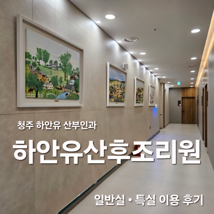  하안유산후조리원 11박12일 후기 초산모 제왕절개 출산 회복 (일반실&특실 비교)