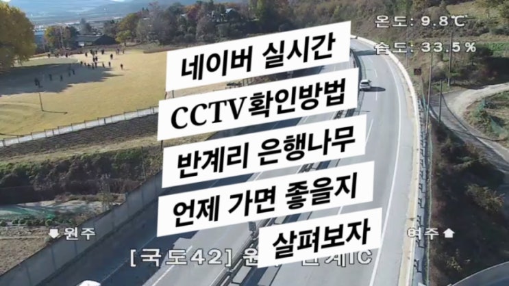  네이버 지도 CCTV 활용법 (25년 서초 서리풀축제, 가을 반계리 단풍)