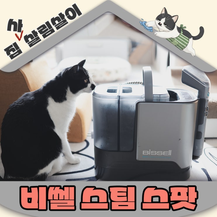  똥꼬스키까지 잡는다! 고양이집 습식청소기 비쎌 스팟클린 하이드로 스팀 3791S