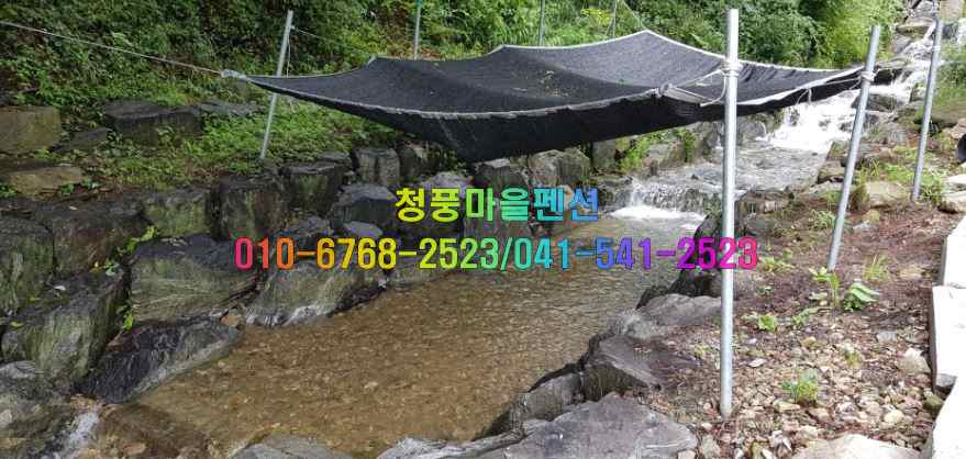 청풍마을펜션 사진 6