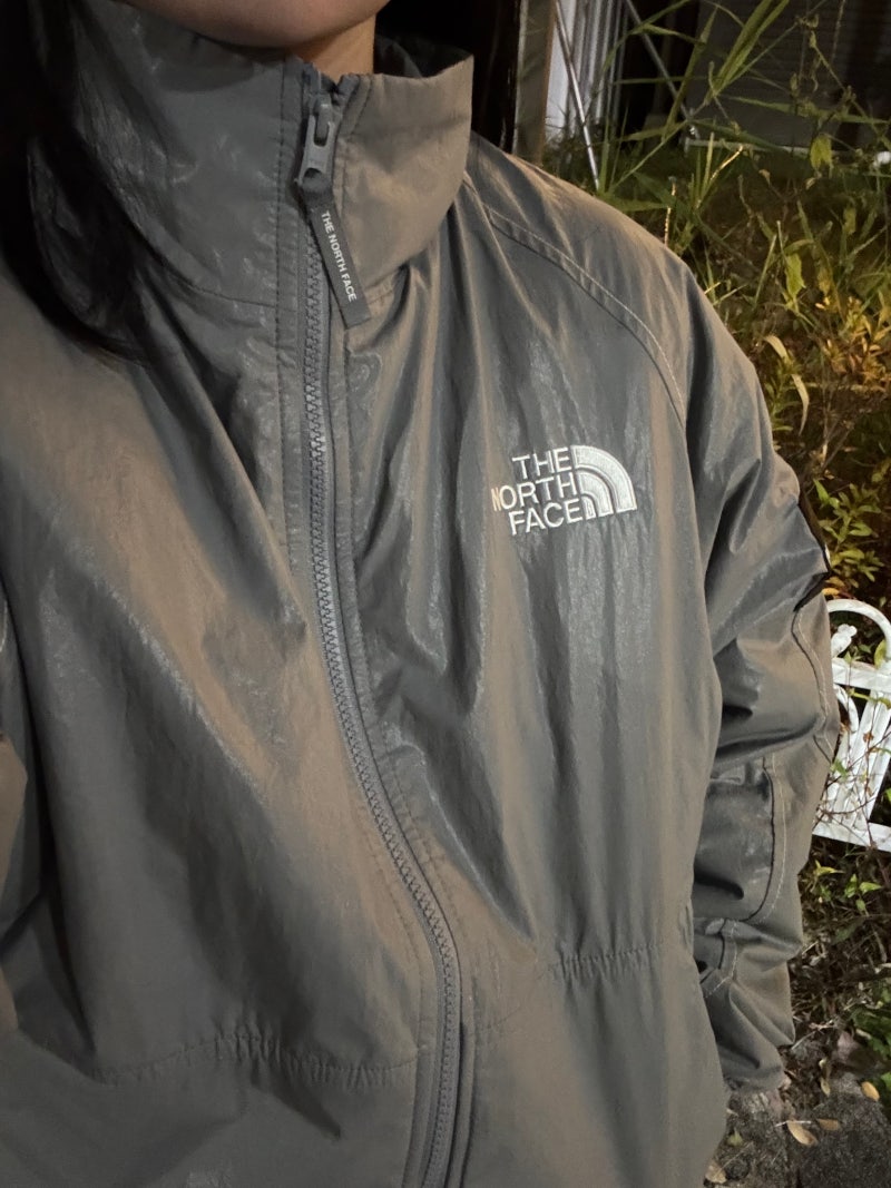 The North Face 朴寶劍羽絨 Ollema Flash 夾克灰色款心得