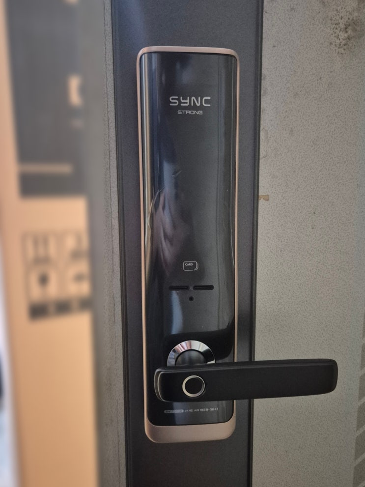  이천 부발읍 진우아파트 솔리티 도어락 SM-7000B 교체 설치