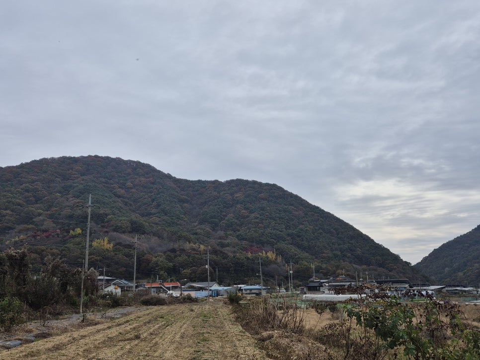 여우내 사진 5