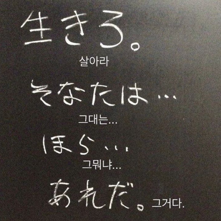  갑차기스러운데 내 일본어 공부 연대기 공개해도 돼?