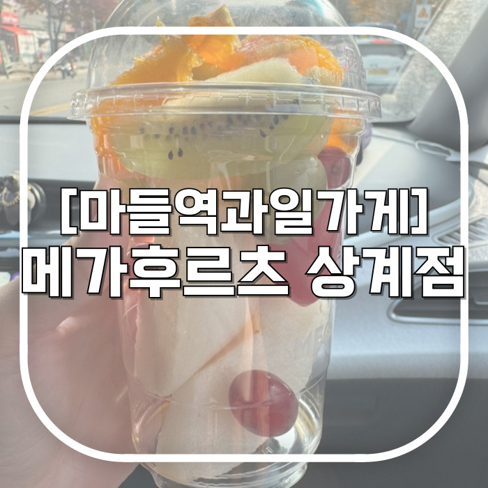  마들역과일가게 찾는다면 메가후르츠 상계점 컵과일로 비타민 채우기