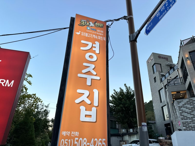사진 5