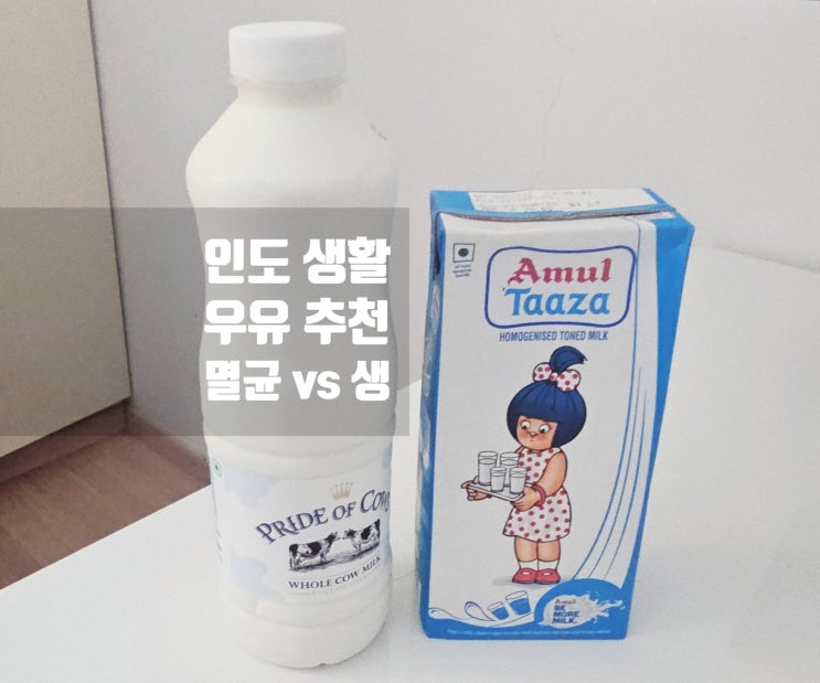  인도 구르가온 생활 생우유 vs 멸균우유 어떤게 더 맛있을까?