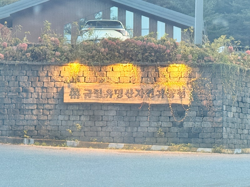 [주저리주저리] 국립 유명산 자연휴양림 오두막 A - 가평