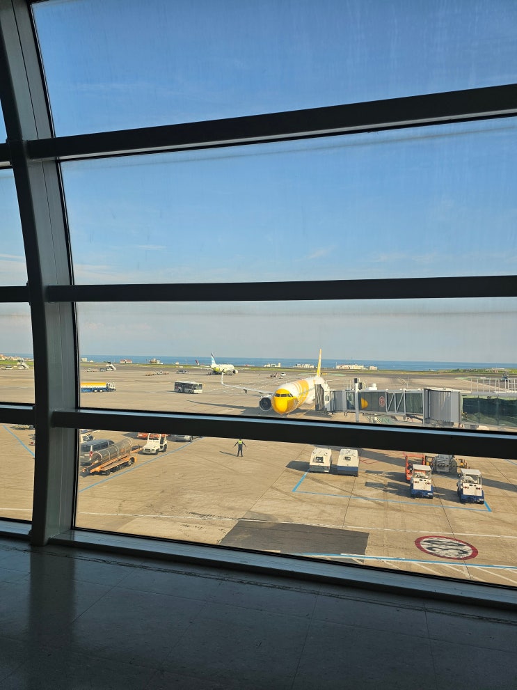  제주 싱가포르 발리 스쿠트항공 발리여행 제주직항 해외여행 가족해외여행