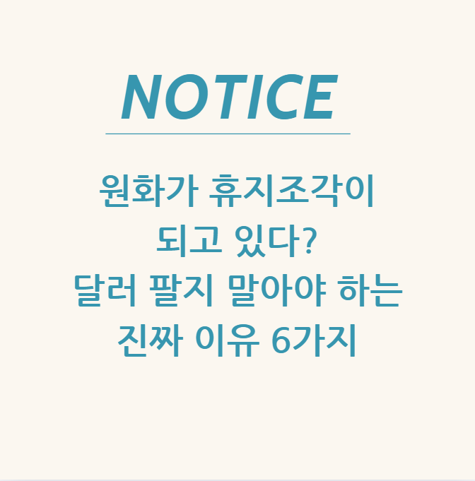  원화가 휴지조각이 되고 있다? 달러 팔지 말아야 하는 진짜 이유 6가지