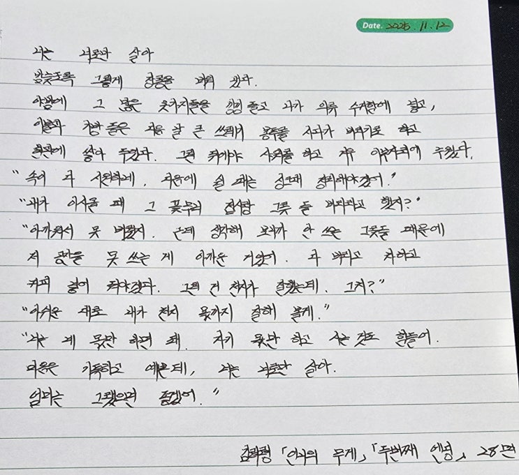  오늘의 필사 - 힐링문구 / 너는 너로만 살아-김려령 두번째엔딩
