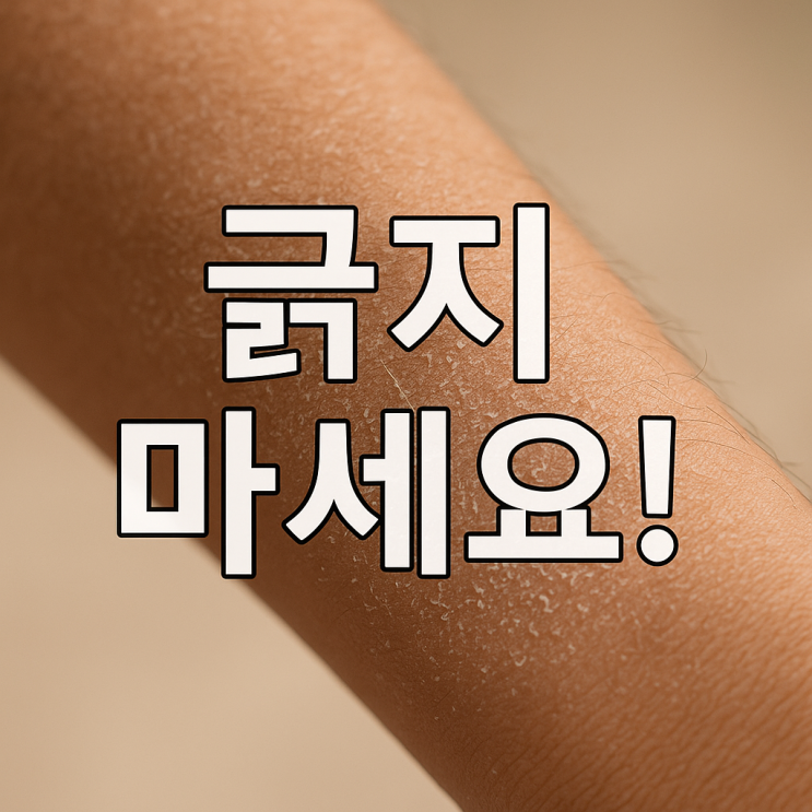  항암 피부 건조증, 긁지 마세요! 가려움 잡는 관리법 3대 원칙 (보습제, 자외선 차단)