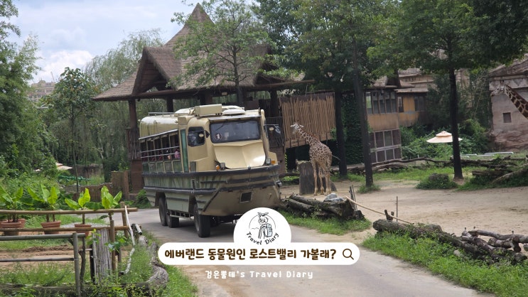  에버랜드 동물원 로스트밸리 주말 놀거리 경기도 용인 아이와 가볼만한곳