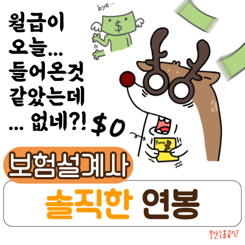보험설계사 연봉 현실은? 첫달 수입 공개합니다