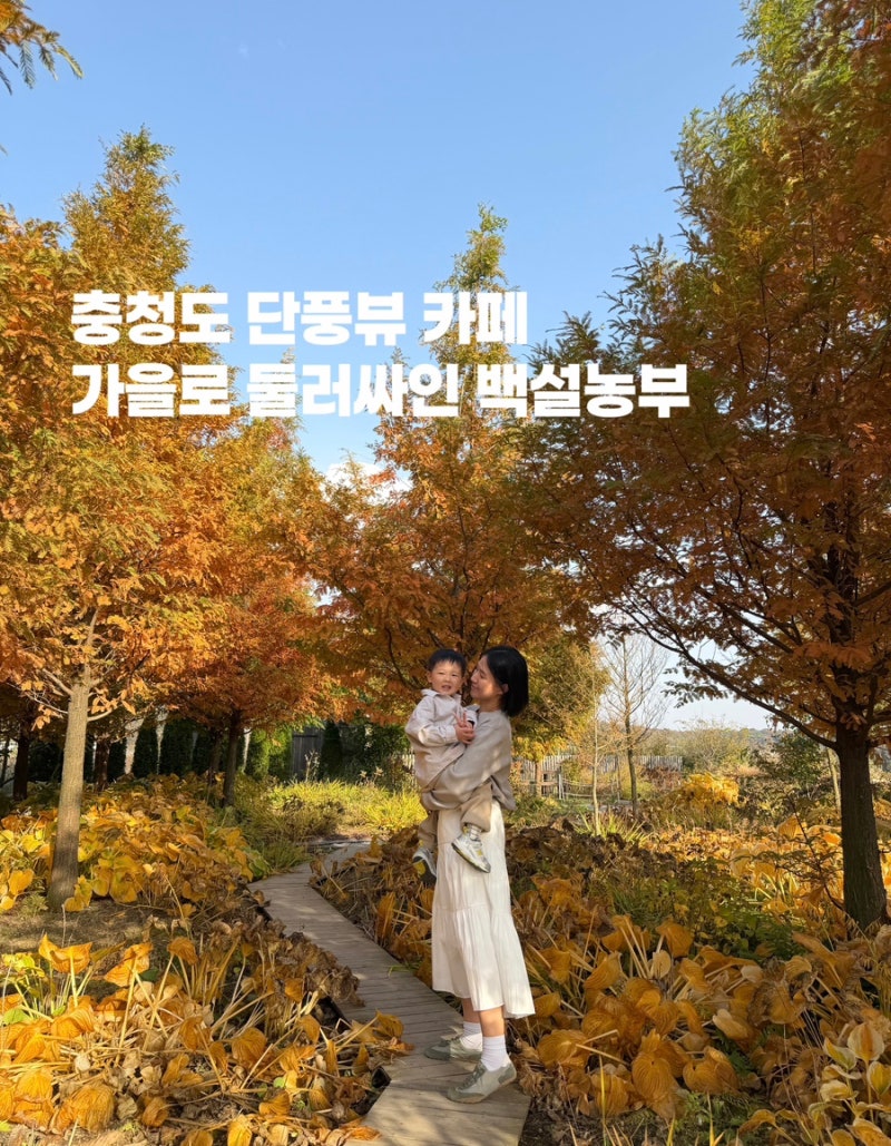 백설농부