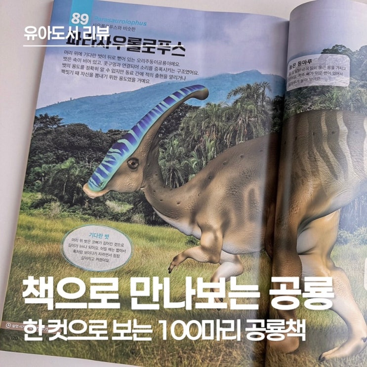  공룡에 푹 빠진 아이를 위한 최애 도서! 한 컷으로 보는 100마리 공룡책