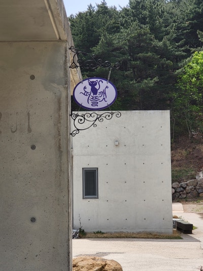 사진 2