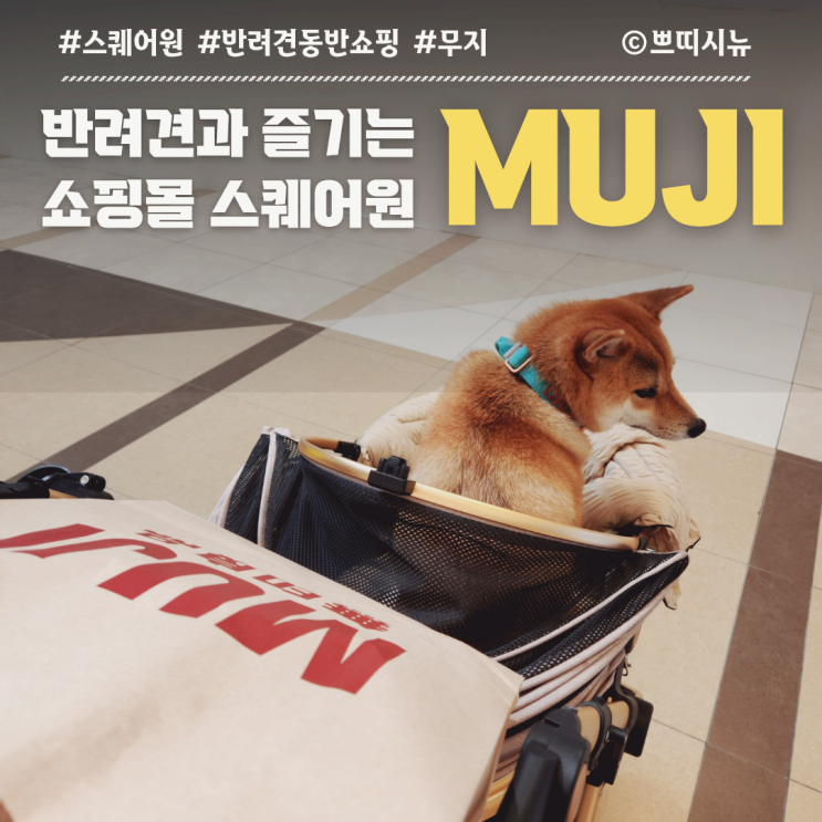  인천 스퀘어원 무지 MUJI 방문기｜반려견 동반 쇼핑 후기, 주차 & 추천템 총정리