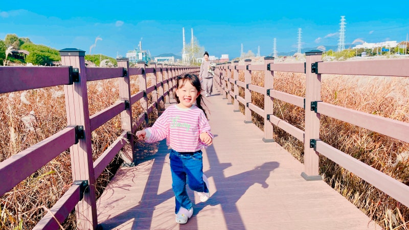 사진 2
