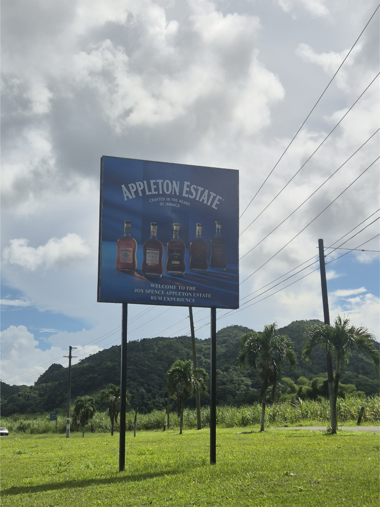  [자메이카] 애플톤 럼 증류소 투어Appleton Estate Rum Tour(다크럼과 저크치킨)