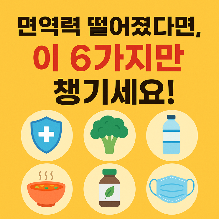   면역력 떨어질 때 챙겨야 할 슈퍼푸드 6가지