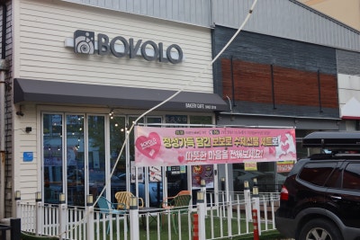 대전 빵 맛집 알 사람들은 다 아는 대전 송촌동 카페 보보로 베이커리