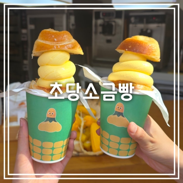 강원도 속초 빵집] 초당소금빵 || 속초 중앙시장 디저트 초당옥수수 아이스크림 소금빵
