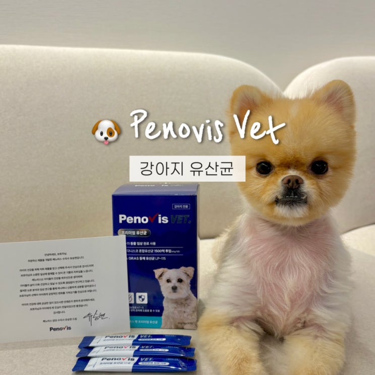  강아지유산균추천 잦은 설사로 장건강이 걱정된다면? 페노비스!